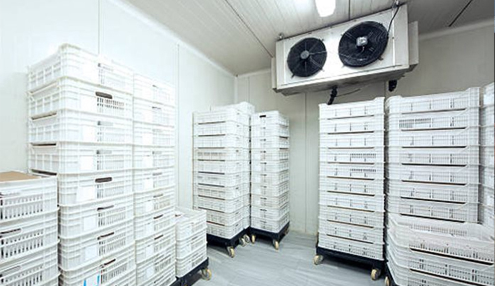 振動篩篩分四溴雙酚A固體粉料使用現場